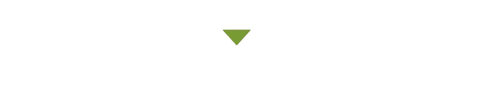 Southbridge Consulting